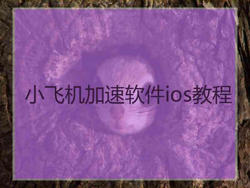 小飞机加速软件ios教程