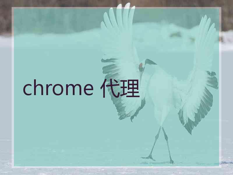 chrome 代理