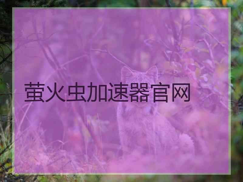 萤火虫加速器官网