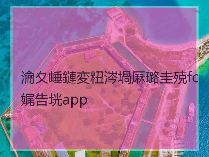 瀹夊崜鏈変粈涔堝厤璐圭殑fc娓告垙app