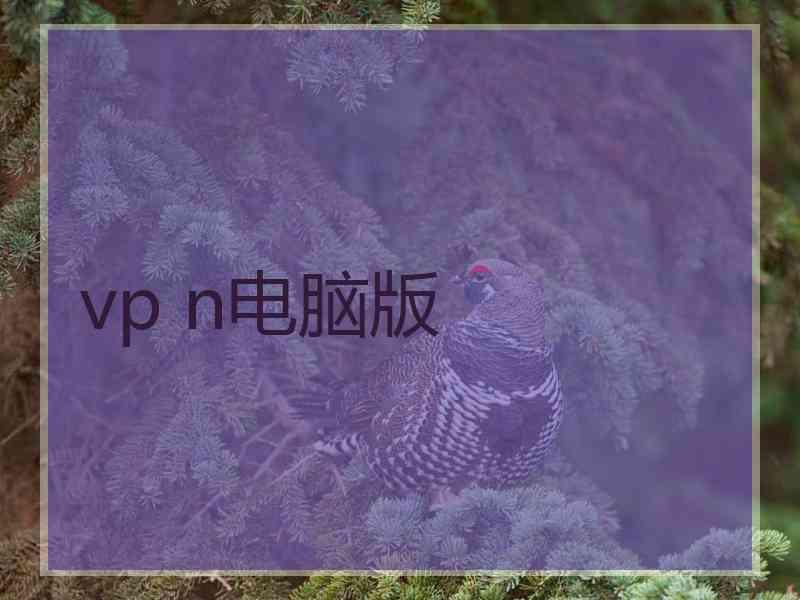 vp n电脑版