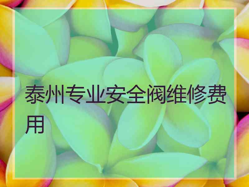 泰州专业安全阀维修费用