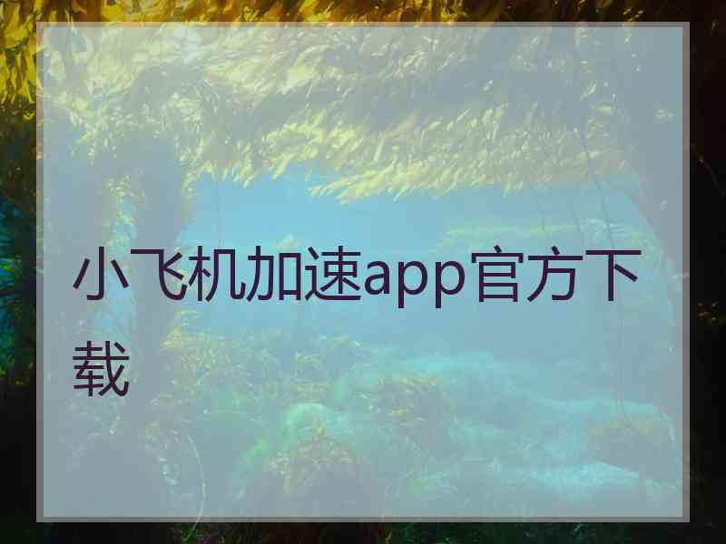 小飞机加速app官方下载