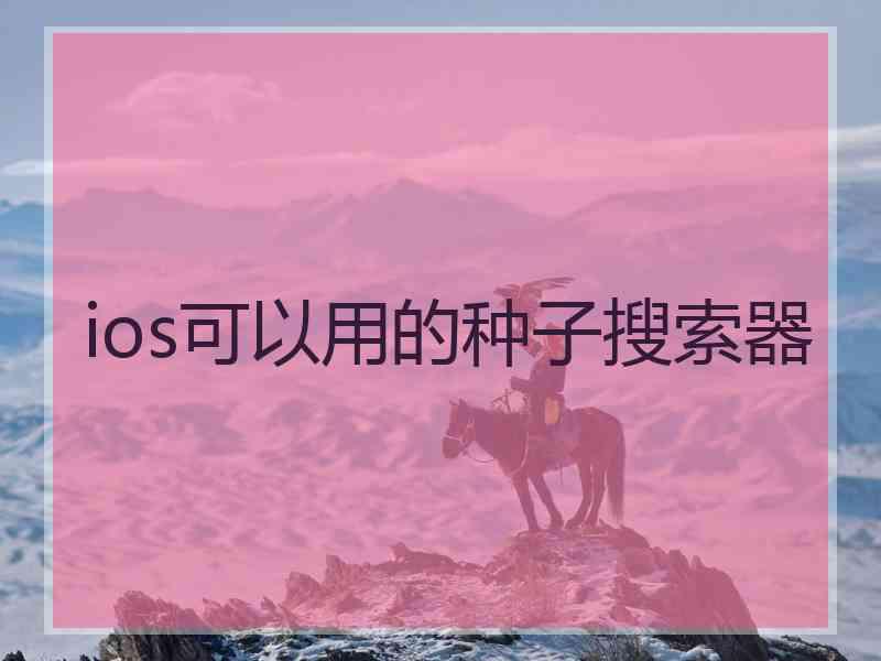 ios可以用的种子搜索器