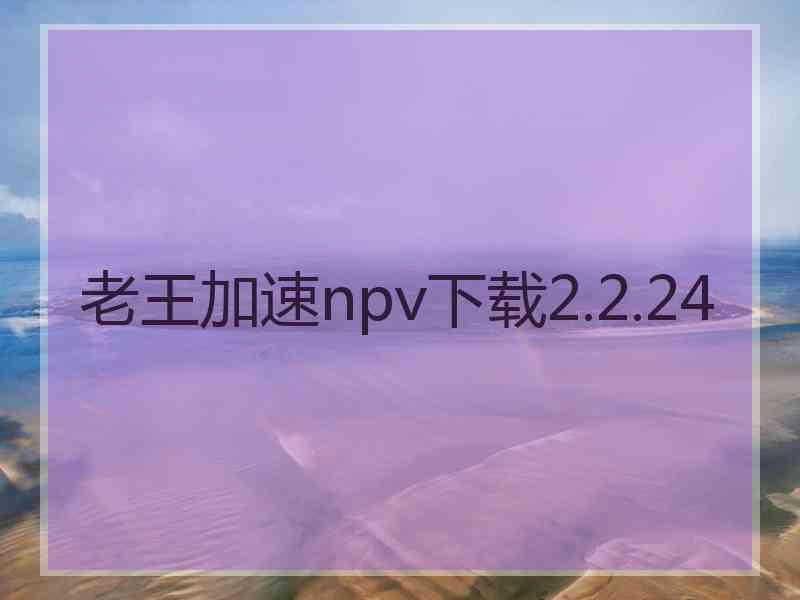 老王加速npv下载2.2.24