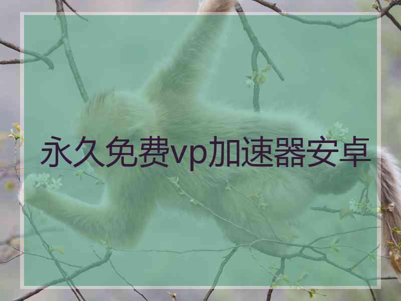 永久免费vp加速器安卓