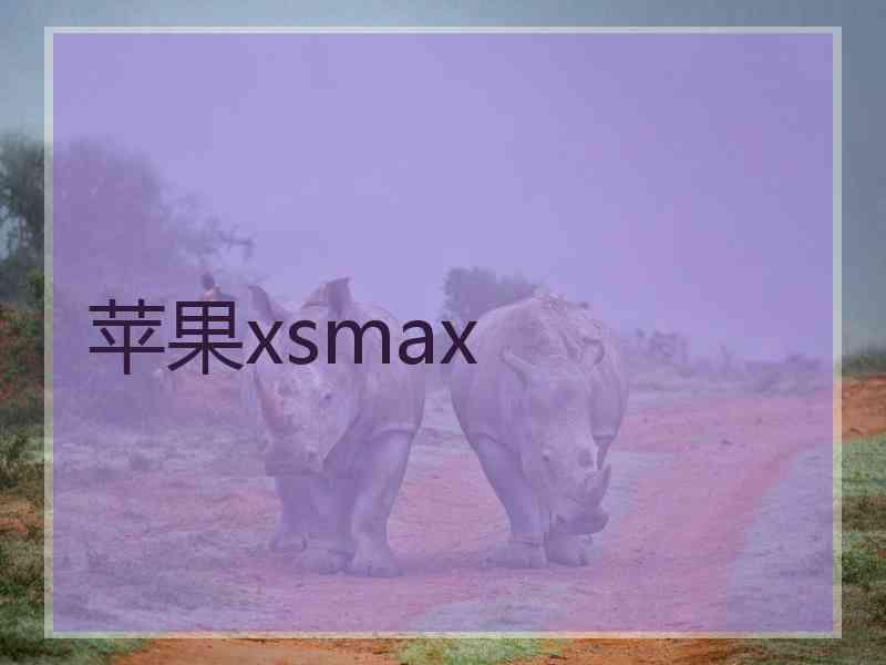 苹果xsmax