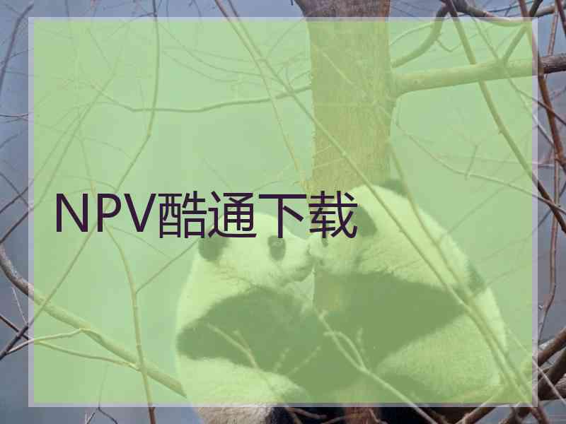 NPV酷通下载