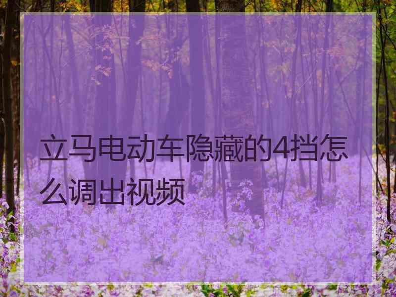 立马电动车隐藏的4挡怎么调出视频