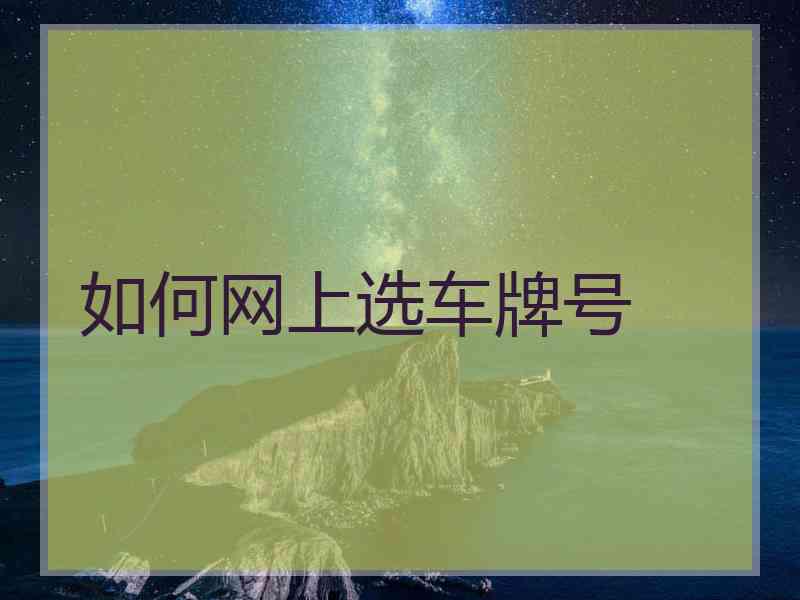 如何网上选车牌号