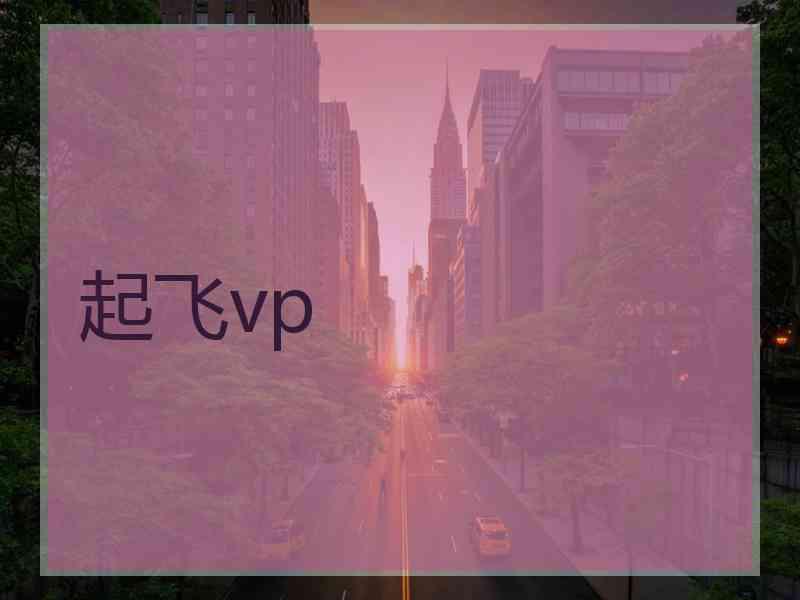 起飞vp