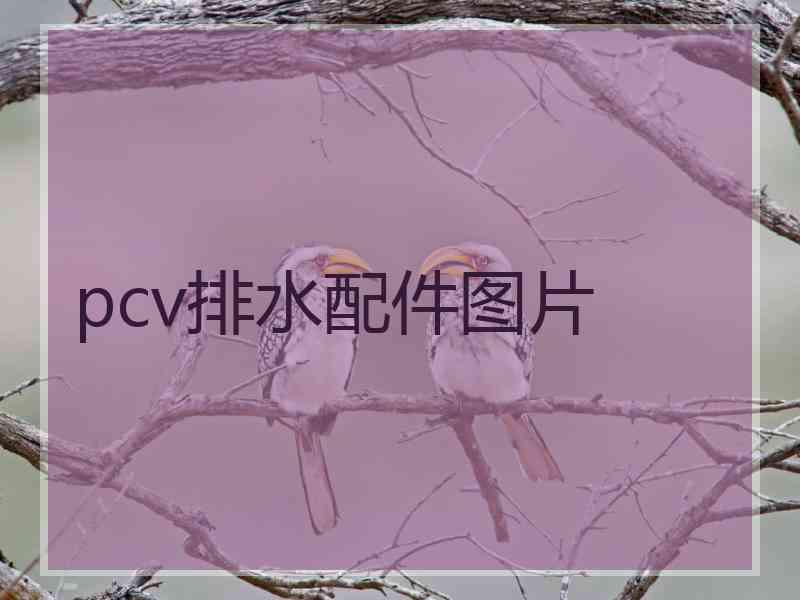 pcv排水配件图片