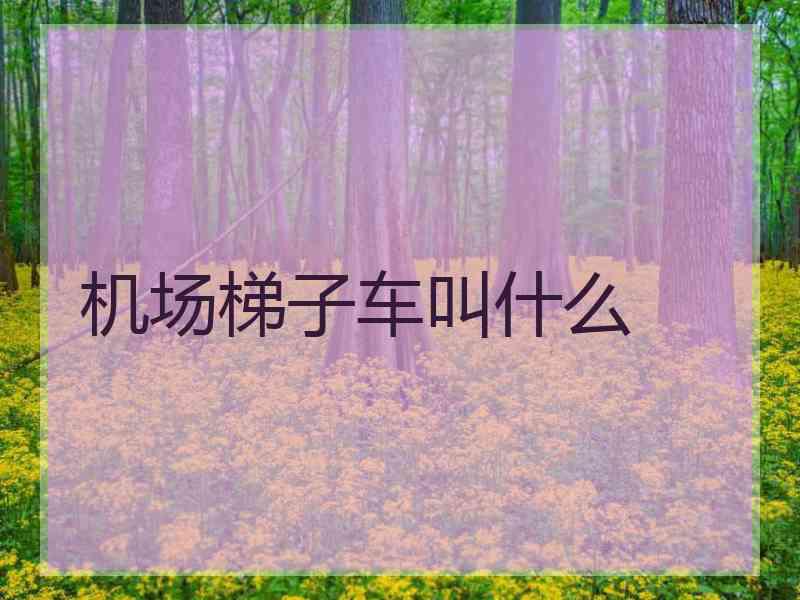 机场梯子车叫什么