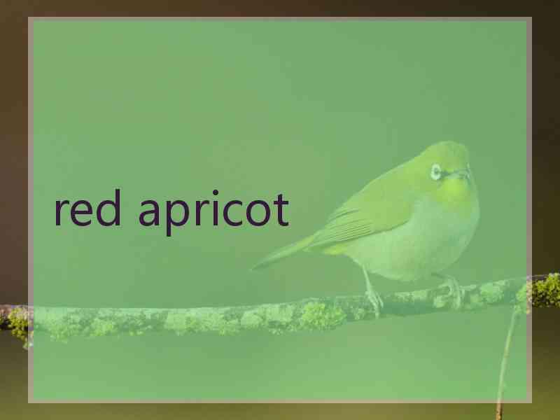 red apricot