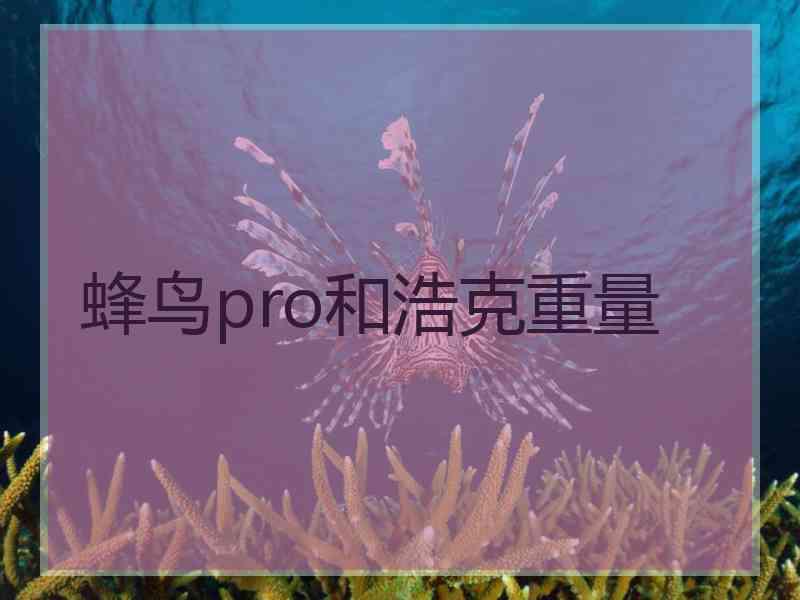 蜂鸟pro和浩克重量