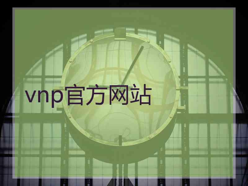 vnp官方网站