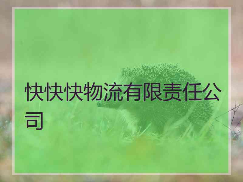 快快快物流有限责任公司