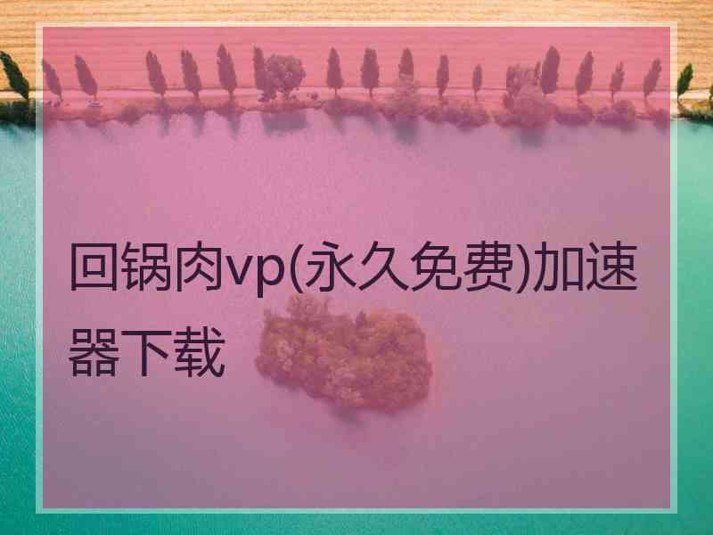 回锅肉vp(永久免费)加速器下载