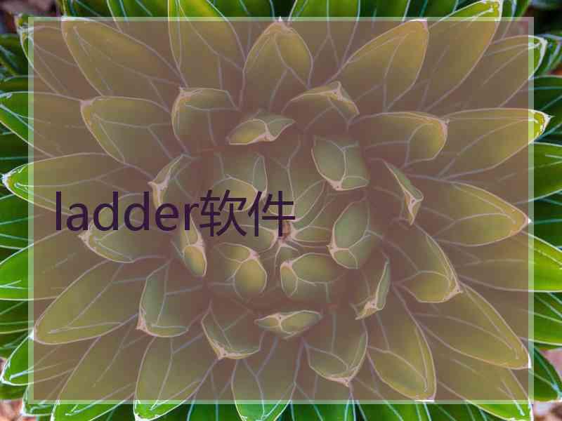 ladder软件