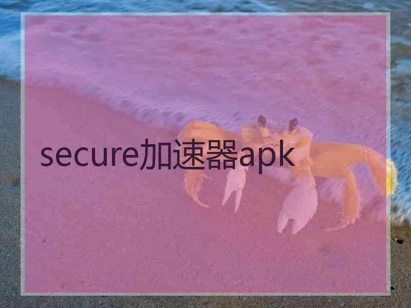 secure加速器apk