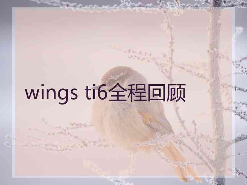 wings ti6全程回顾