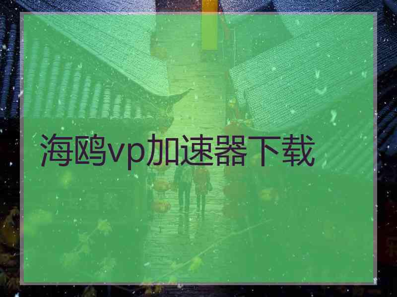 海鸥vp加速器下载