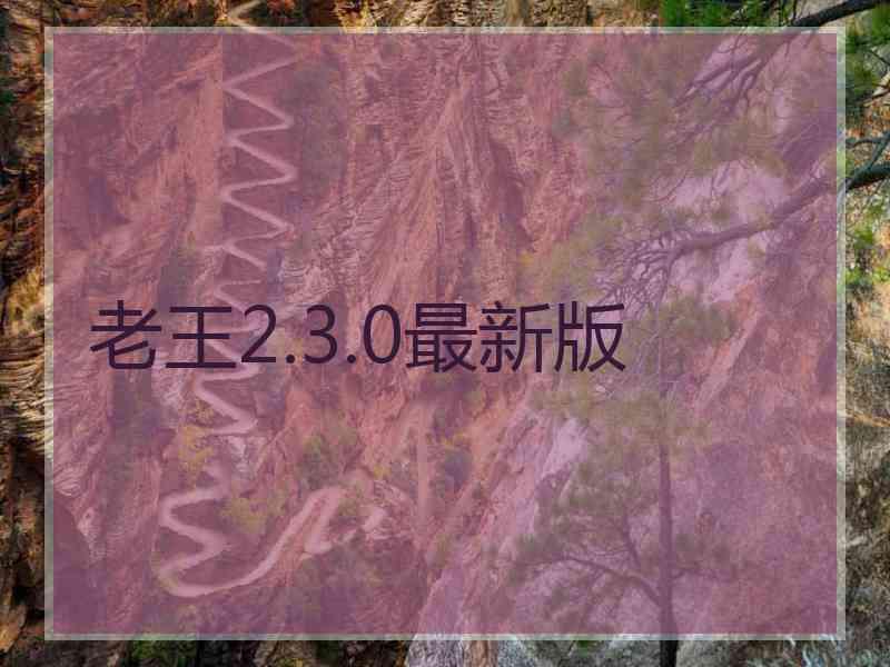 老王2.3.0最新版