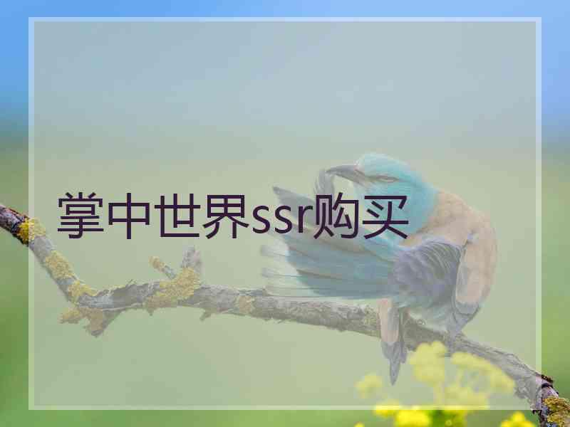 掌中世界ssr购买