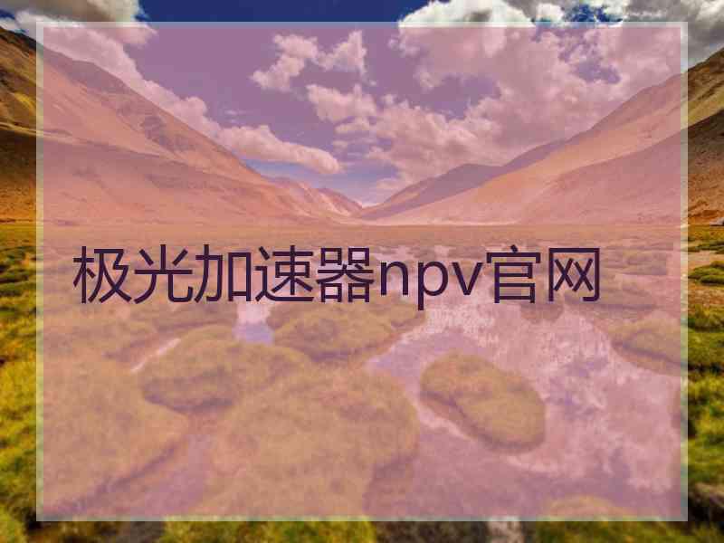 极光加速器npv官网