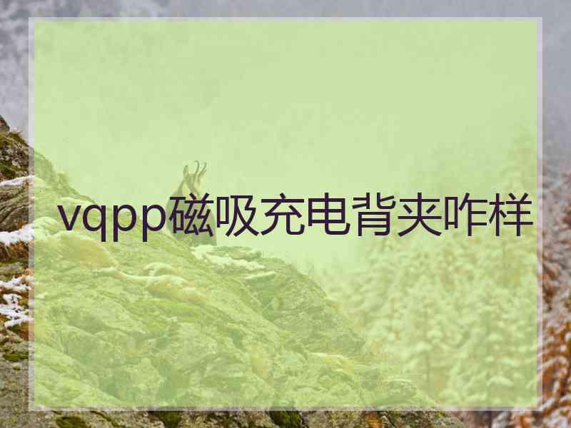 vqpp磁吸充电背夹咋样