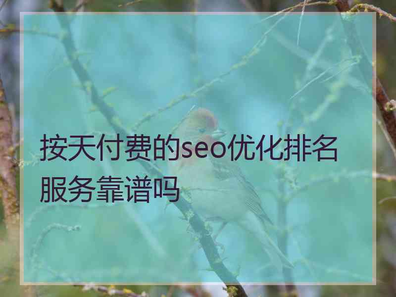 按天付费的seo优化排名服务靠谱吗