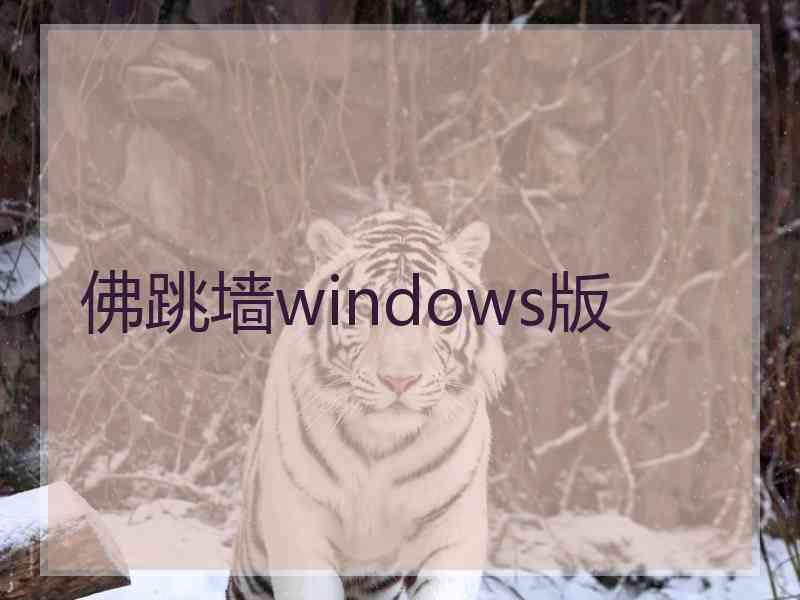 佛跳墙windows版