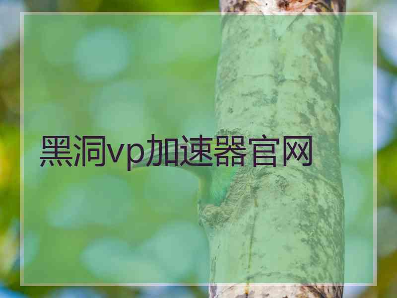 黑洞vp加速器官网