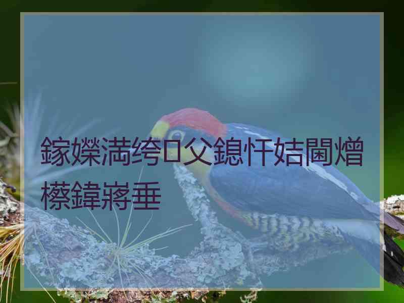 鎵嬫満绔父鎴忓姞閫熷櫒鍏嶈垂