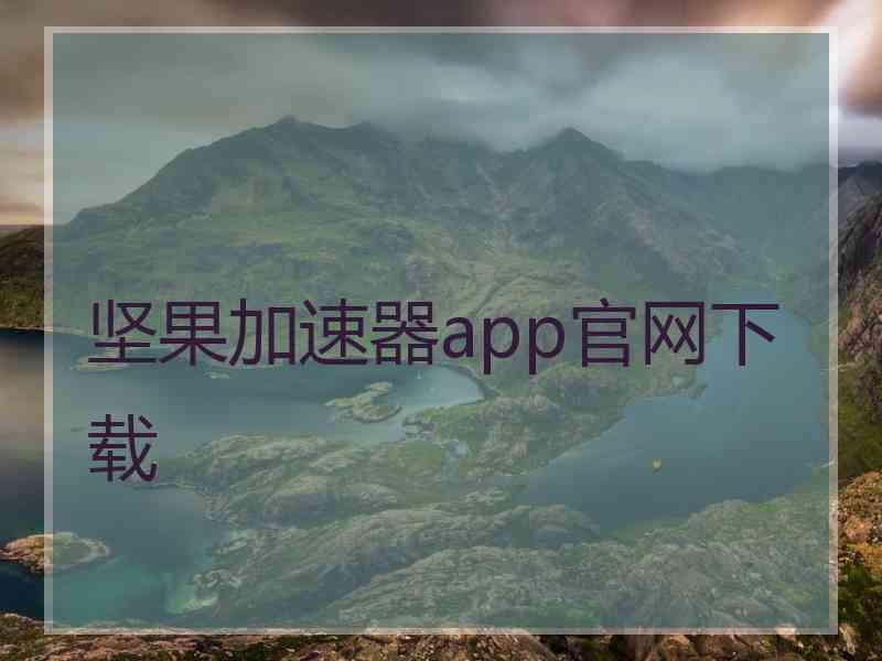 坚果加速器app官网下载