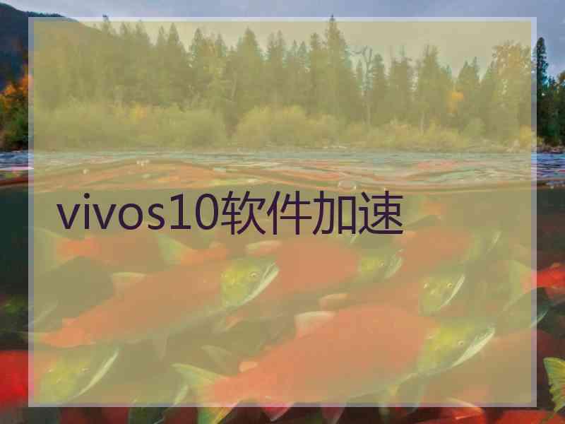 vivos10软件加速