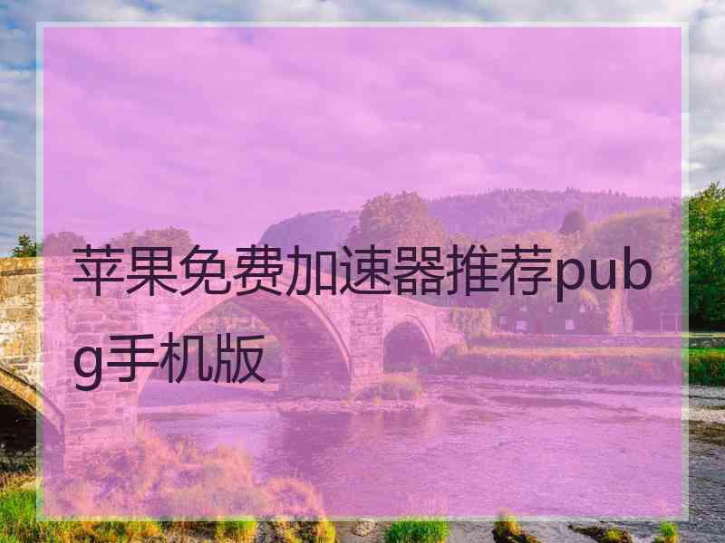 苹果免费加速器推荐pubg手机版