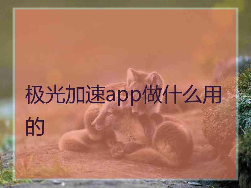 极光加速app做什么用的