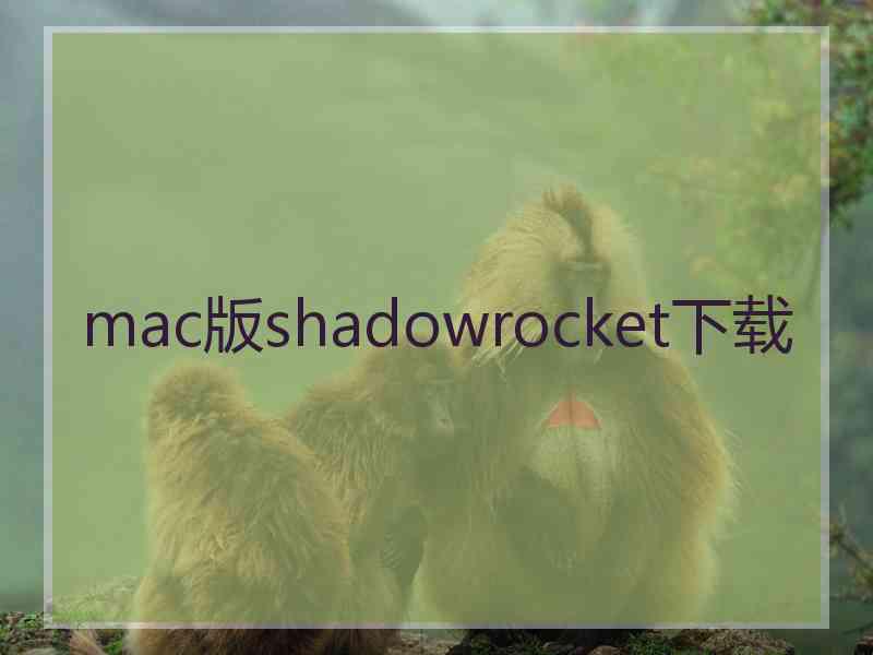 mac版shadowrocket下载