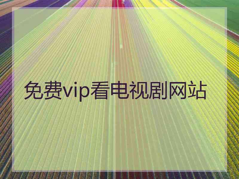 免费vip看电视剧网站