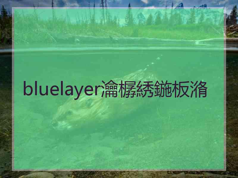 bluelayer瀹樼綉鍦板潃