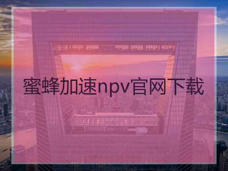 蜜蜂加速npv官网下载