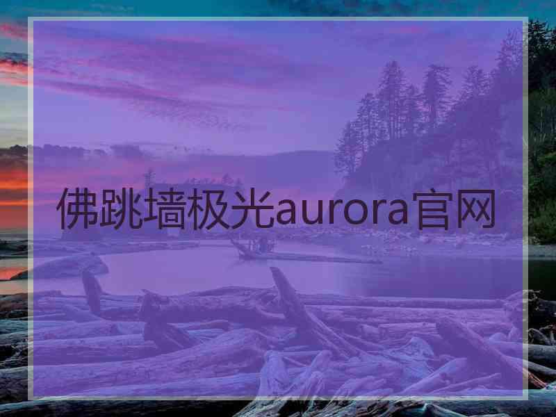 佛跳墙极光aurora官网