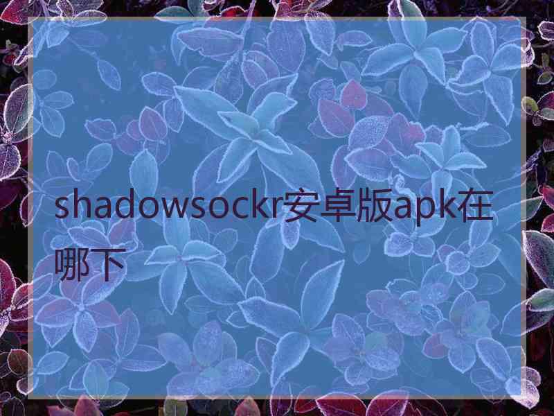 shadowsockr安卓版apk在哪下