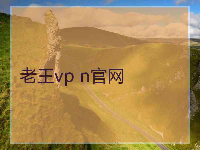 老王vp n官网