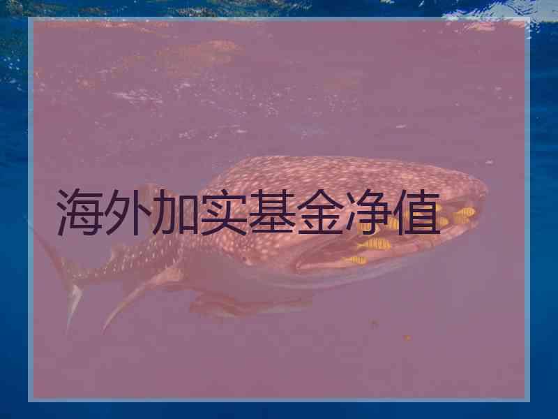 海外加实基金净值