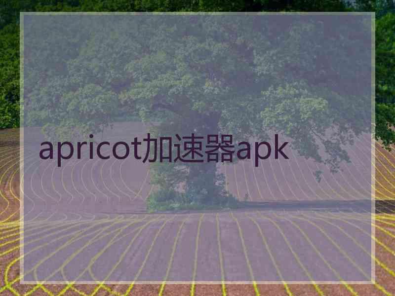 apricot加速器apk