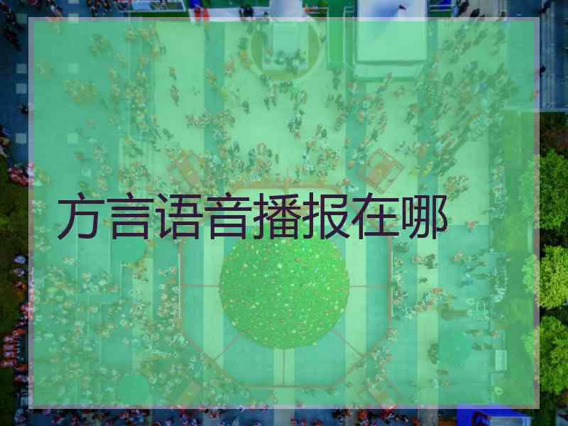 方言语音播报在哪