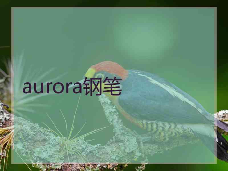 aurora钢笔