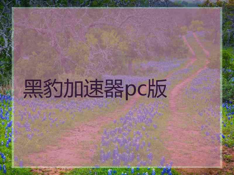 黑豹加速器pc版